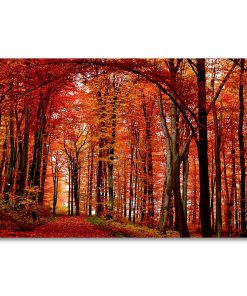 "The Red Way" 22" x 32" Canvas Wall Art by Philippe Sainte-Laudy