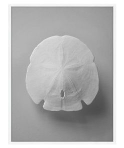 Zoe Bios Imprint 1 by Jana Leon Coastal Beach White Frame Photograph - 24x32