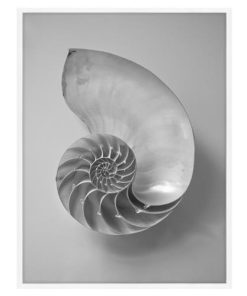 Zoe Bios Sentience 2 by Jana Leon Coastal Beach White Frame Photograph - 24x32